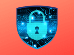 Staying Safe in Crypto: Avoiding Scams and Hacks